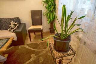 Апартаменты Apartments Mmig Жабляк Апартаменты-7